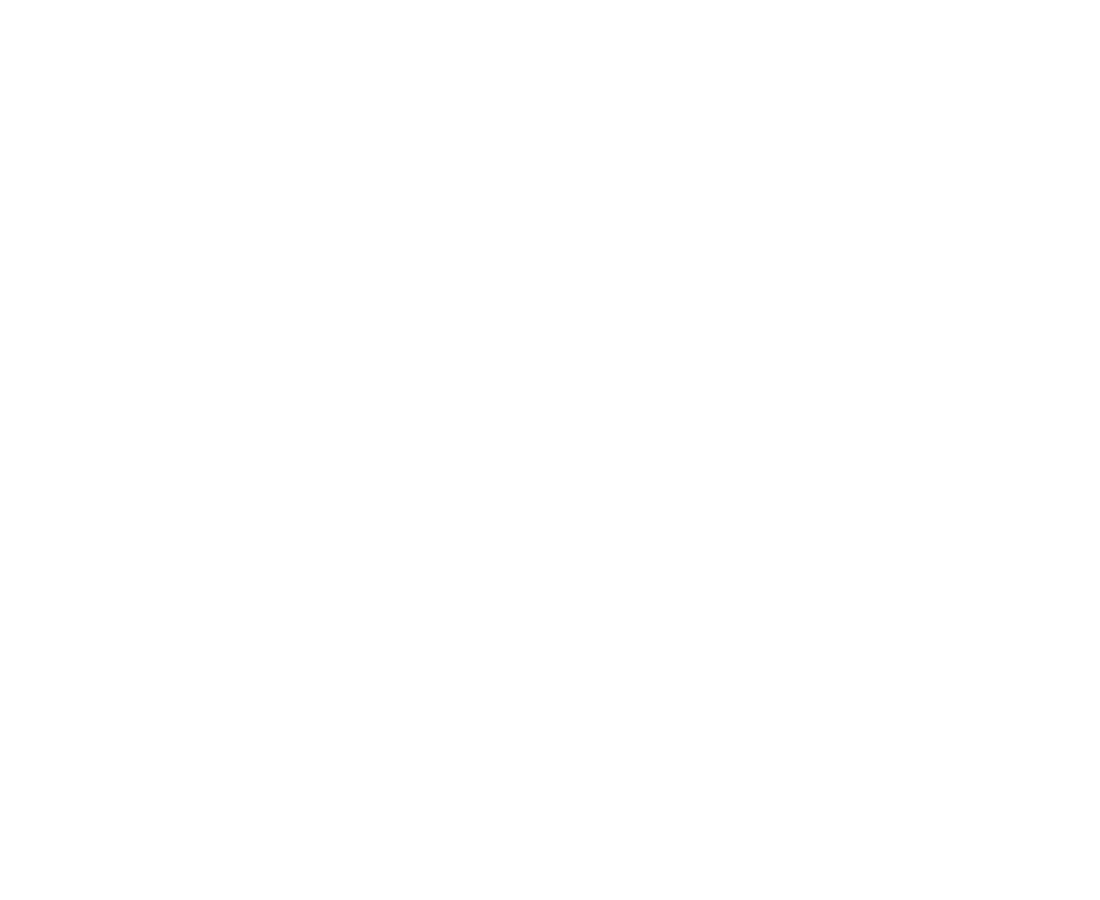 Baha FPV